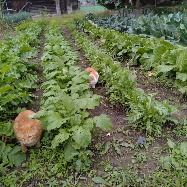 5ea097f9 3641 4bbc 8e91 b032832e24b5 1760951743837