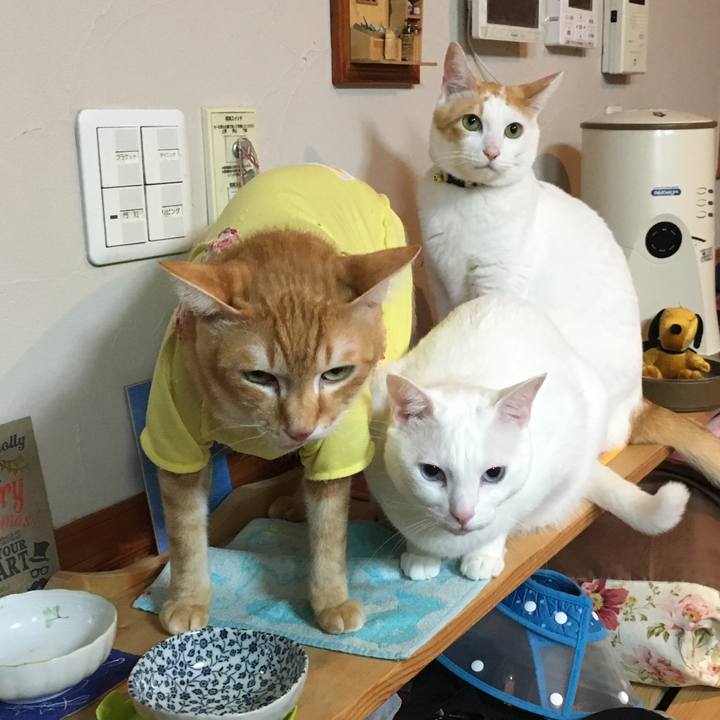 5ea0ab8f 9f91 4df6 83ac 9a24f5d75304 1517791967098