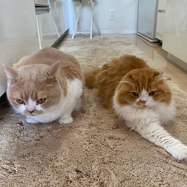 5ea0cb1e 242e 4bcb 970b 295f6b1e3c13 1613708201129