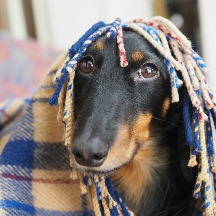 5ea0cd62 4b7b 480c 9718 ffb9a5dcc692 1521161379746