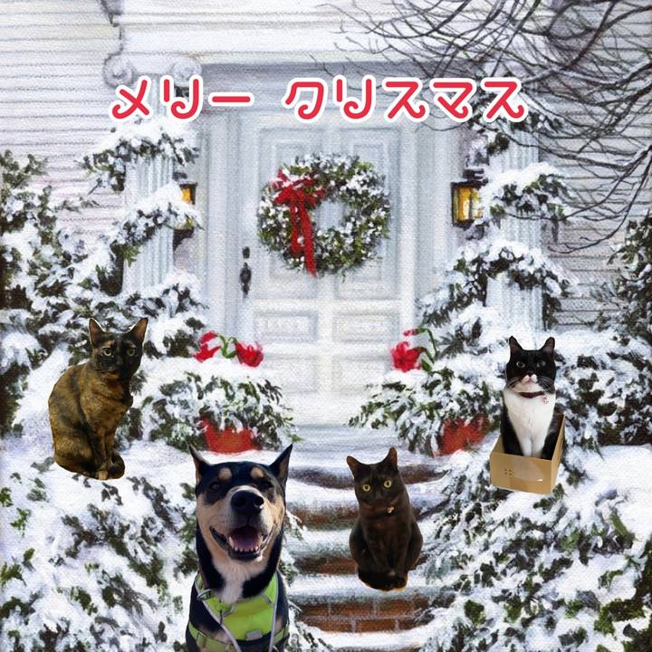 5ea0eead f2bd 421c a473 dedea38cac73 1640350053427