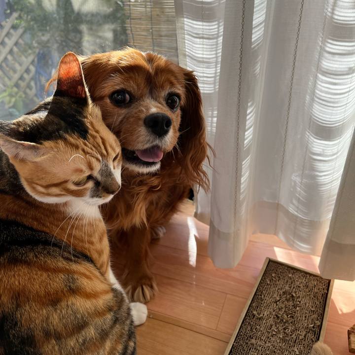 5ea0fb4b 015f 4d1a b3c3 1170a540c698 1697846150327