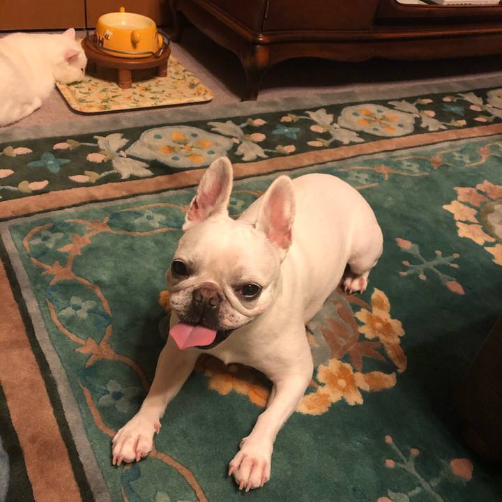 5ea11744 b3e9 4a30 ba5f 1a1c3fa0f46e 1596116621972