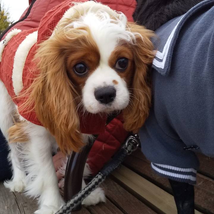 5ea1382b 4120 4e75 a4f3 4265d9285a86 1582098196732