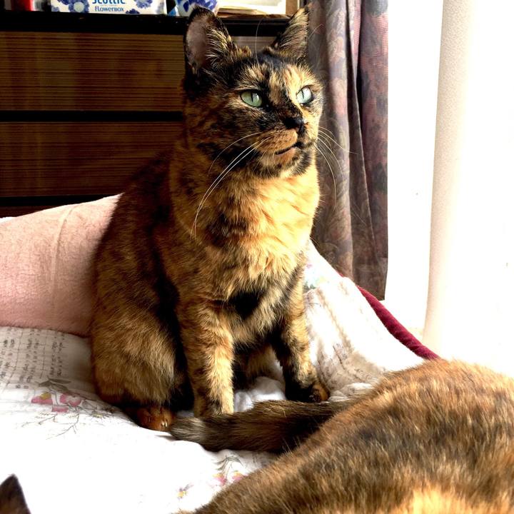 5ea16ddf 911a 4000 a25a 33c63909fc61 1537361696912