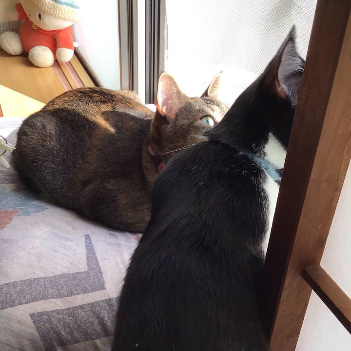 5ea17519 fe40 4659 b445 244d5d18d115 1634272079009