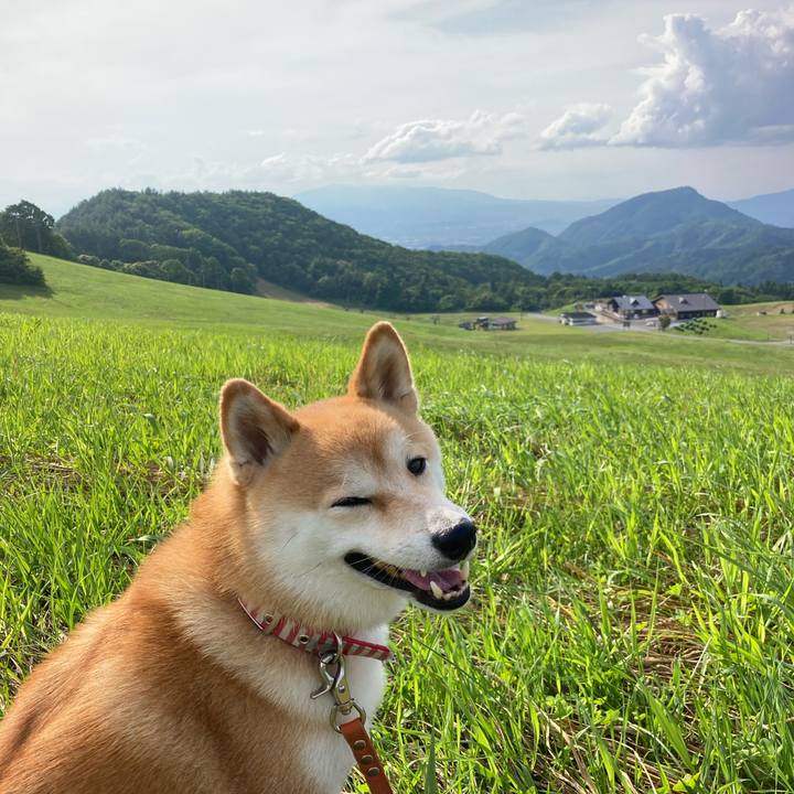 5ea180b2 5bb6 4f2c b81f 31044efb9808 1687764109851