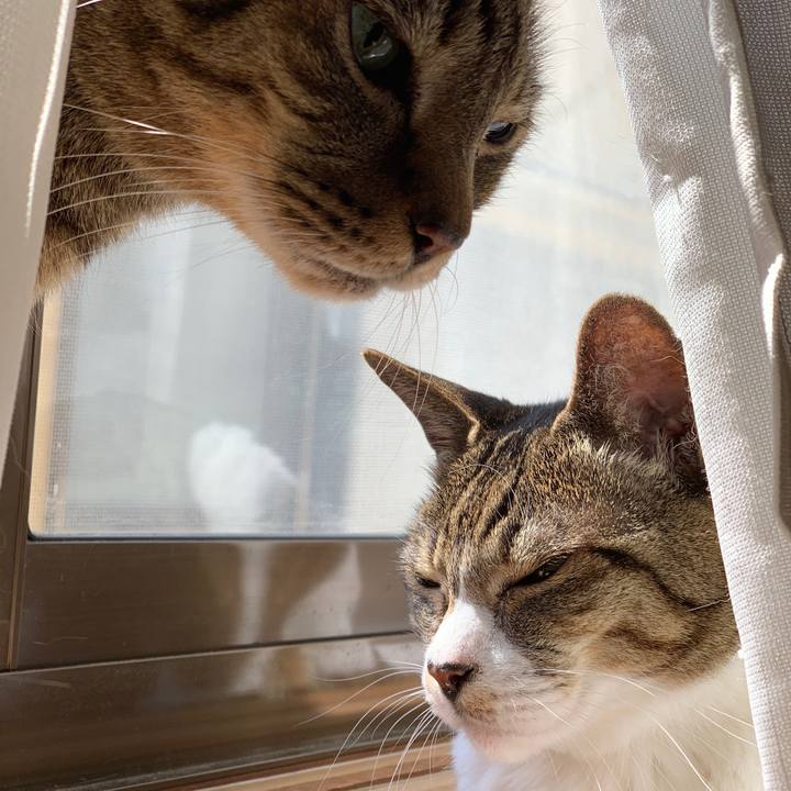 5ea1a97f 756d 4534 9c87 fa6b0cc31e43 1584754123460