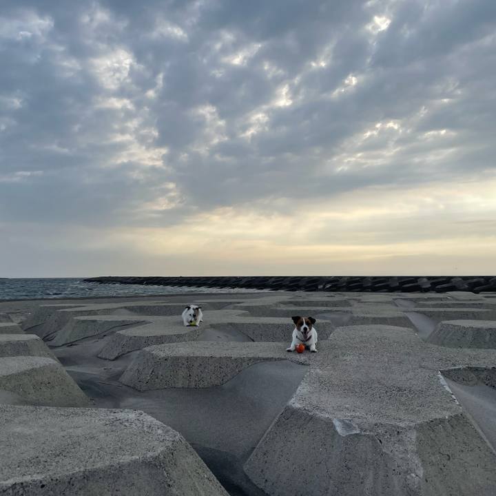 5ea212ba 2d3e 4d4b 819c 02923617440e 1749639932114