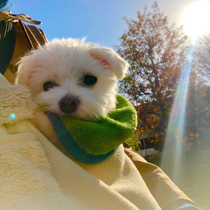 5ea21aa1 bb78 485b 90d6 ea5f653a625c 1545366071218