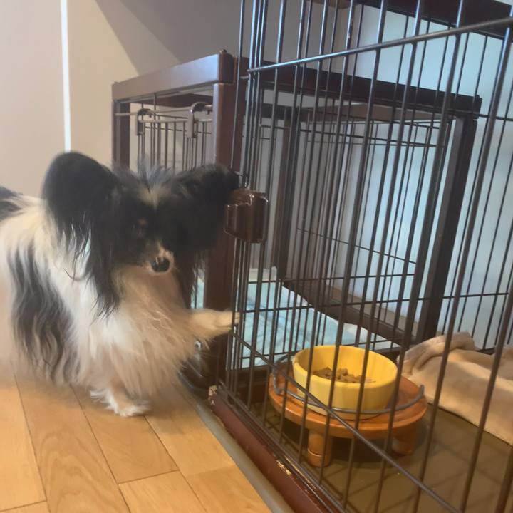 5ea22fbe 0e95 41a3 bab6 b46182312fb7 1622330502738