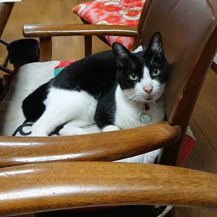 5ea25c10 3a90 48b6 aed0 b00c656c9d0f 1608338447646