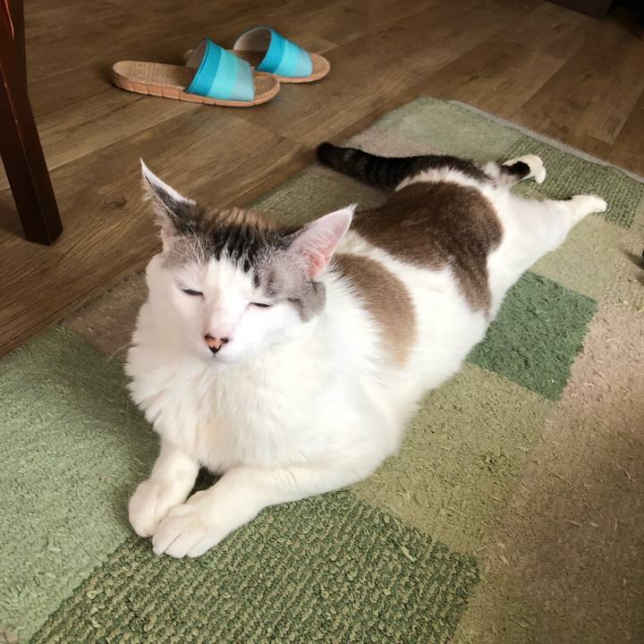 5ea265a6 0e92 4732 b06c 03eb7641773f 1654752092183