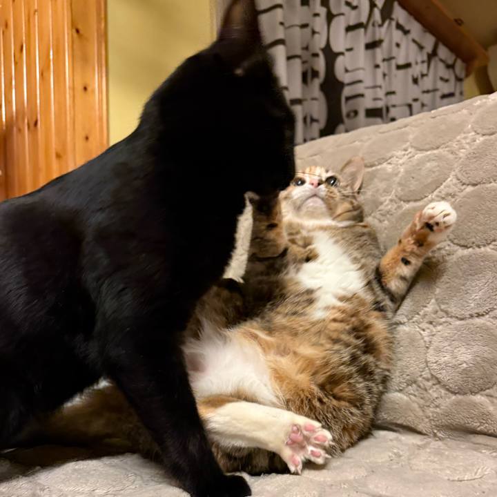 5ea27219 b1df 401c a52f 80cbd349ca32 1771883996990