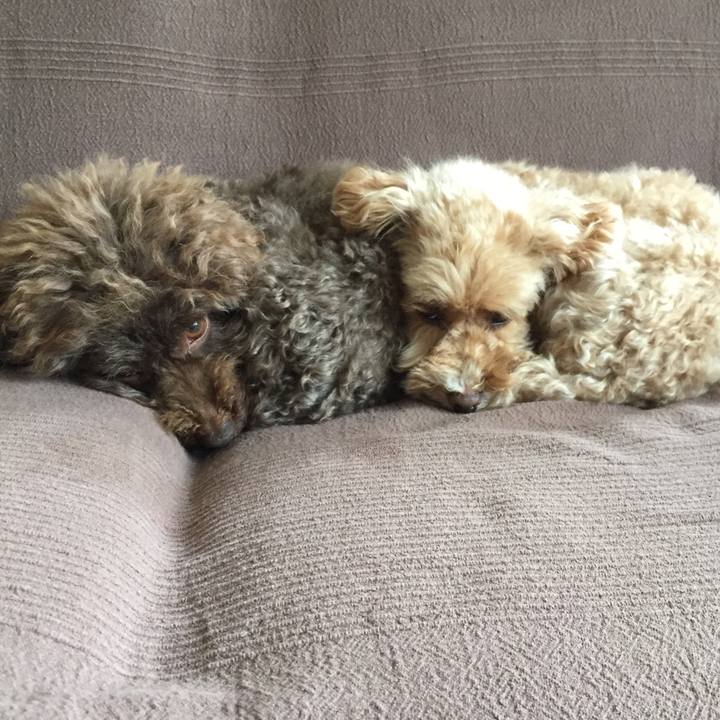 5ea29cbf 82d7 49c8 a9b2 88c27f511f35 1534505208221