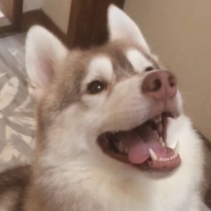 5ea2bbf6 f72c 4988 a0fb 348b8ed15464 1566722294251