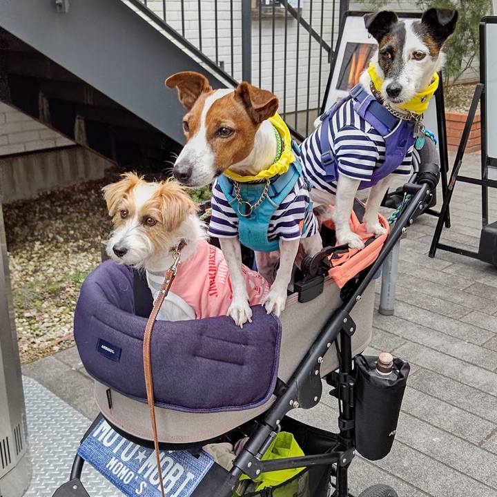 5ea2c93f 65f1 4709 884c 83e53572e53b 1668334342103