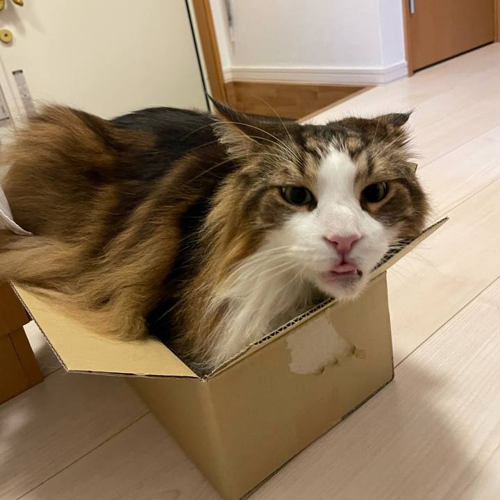 5ea31b4a d748 48de adfd 44deae0348ed 1748807537962