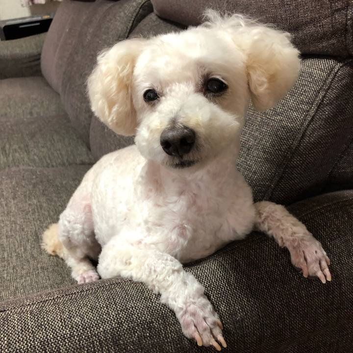 5ea329b0 bbda 4bda 9cb3 91146d041044 1530604059612