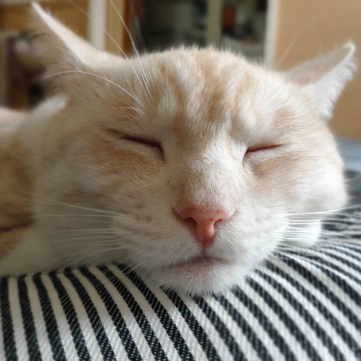 5ea33880 36ea 4e64 b0f3 900c8bf00556 1661699394075