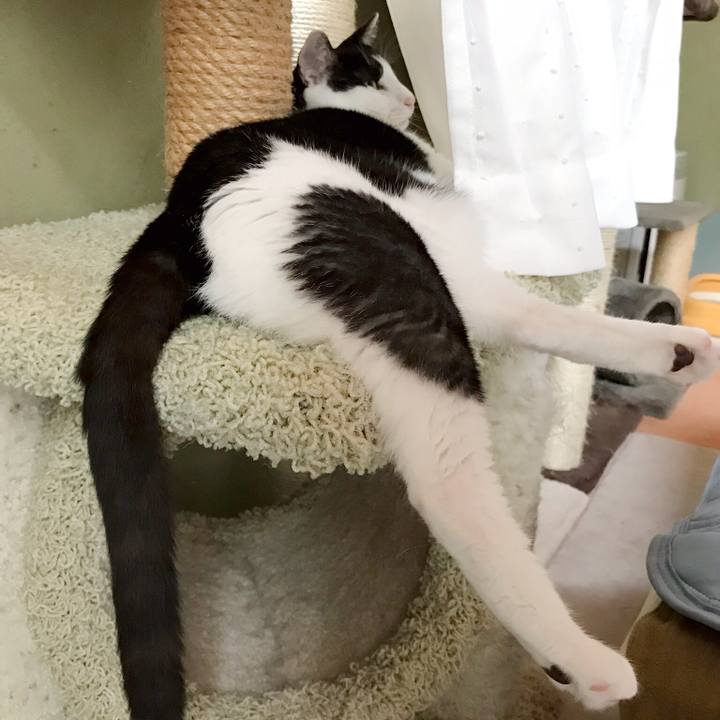 5ea3a32d eff6 4b38 9120 9dc3fad7cb54 1535940129734