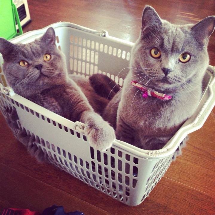 5ea3a944 c7e0 45ae b0ce ad7052105f45 1773480286919