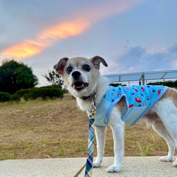 5ea3d2fd f1a1 4300 937e 463715b4fd1a 1691148003272