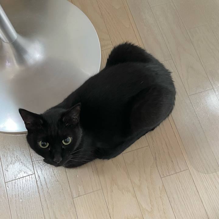 5ea3ed6c eb4b 4e1f 9769 c94c9f97c306 1647607448422