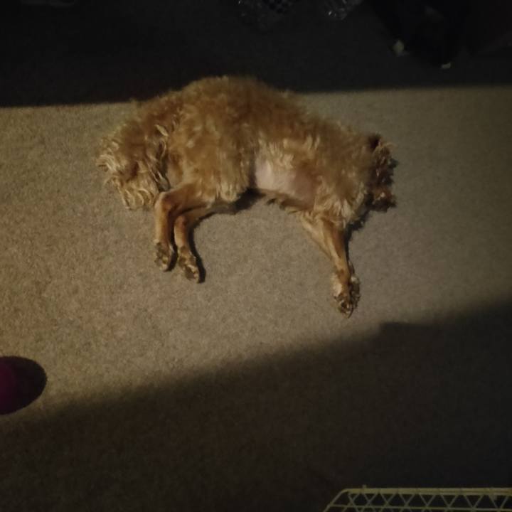 5ea3f0f8 a710 4e8d b32c 7af67d7f4907 1598320628480