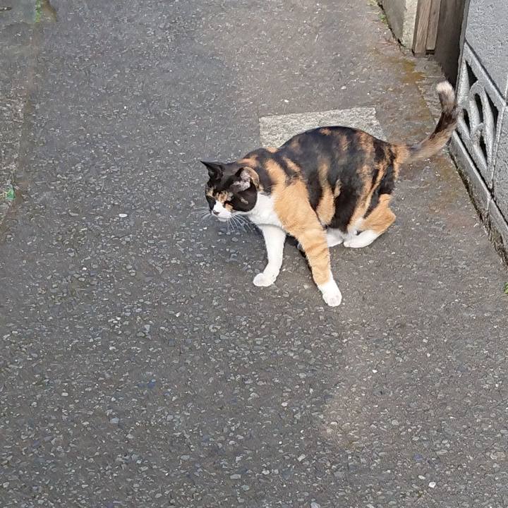 5ea3f3ec c8b1 47f7 8fe1 ef102a720978 1694649575549