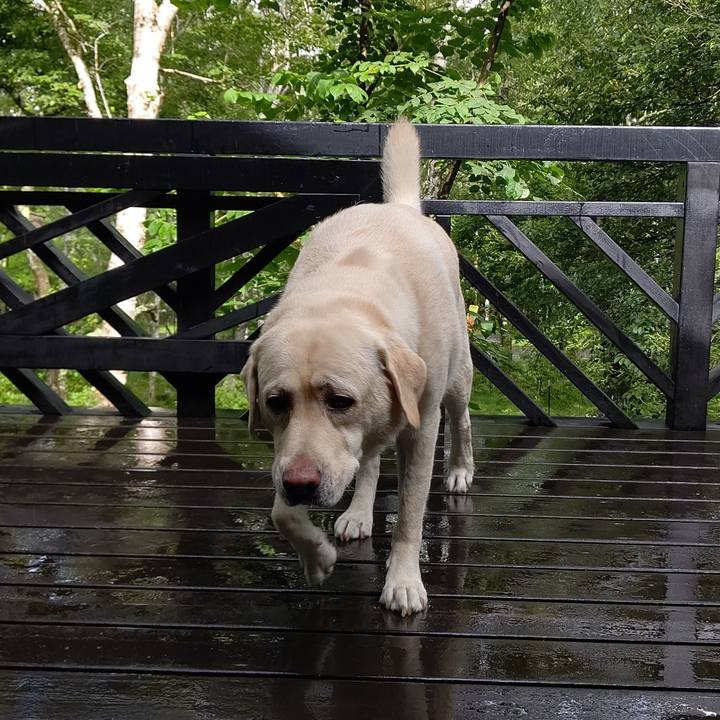 5ea426f0 6795 459a 86c1 e2b7e4dad80f 1660391298311