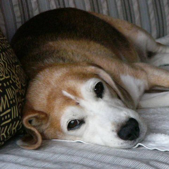 5ea443bf 1c36 43f6 815d c2dfc7a636ac 1653698916616