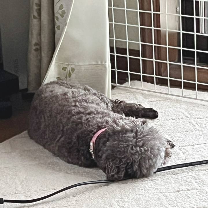 5ea46d75 b518 42e5 9f6a 8dc5737dec19 1688945290834