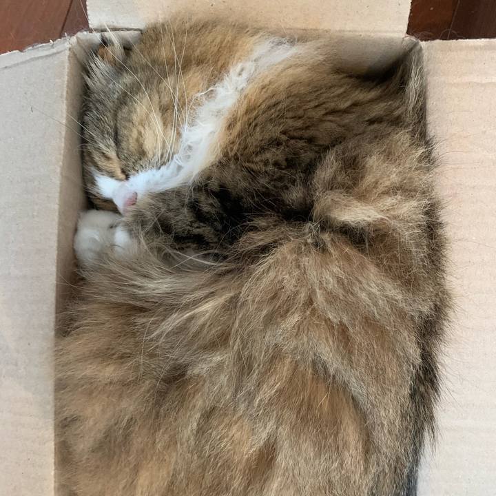 5ea47f2a 4588 49ad b5f4 6a8098e46a18 1591603407540