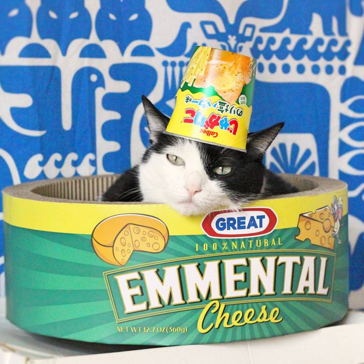 5ea482b3 d39b 4323 9b8f bc8dd7f12d35 1593042006197