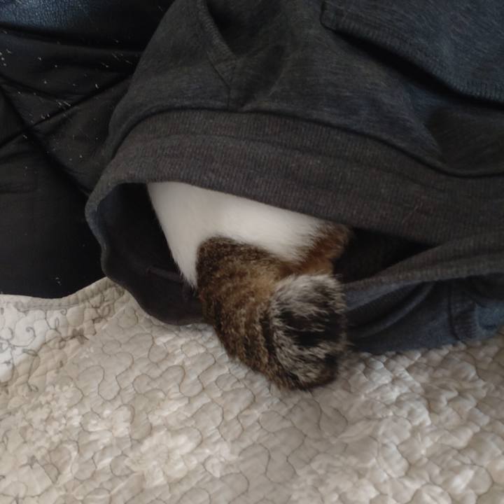 5ea48af5 df14 4982 86ea 6c0c23200e5e 1682812997395