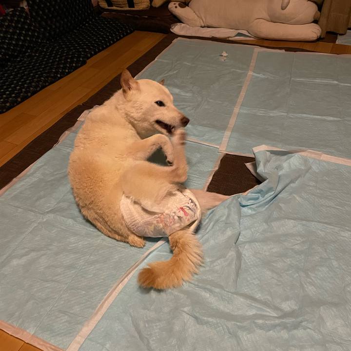 5ea4be79 851f 4edc 8cf8 5a9e9714bfb2 1665596349108