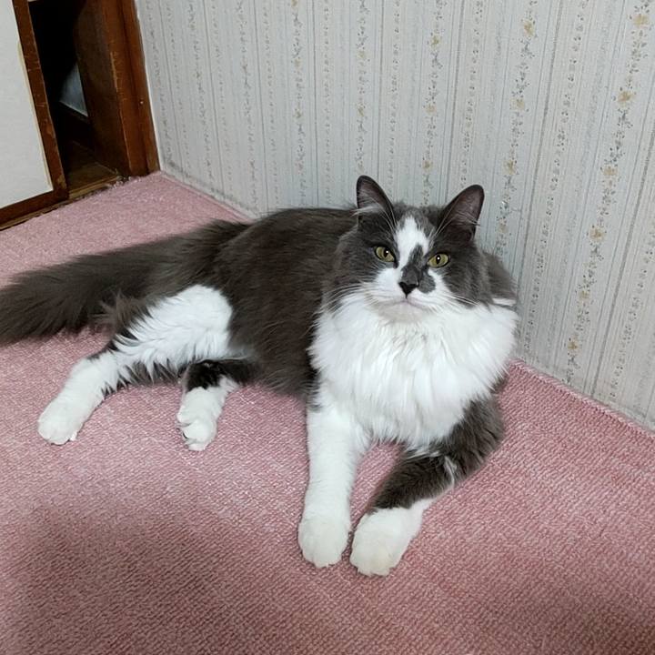 5ea4c6dd cac1 4f93 9cf0 8cdf02d5d09a 1654692223416