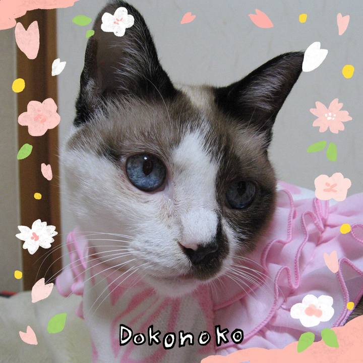 5ea4ec10 b01a 4521 89db bede61daa58d 1711059068299