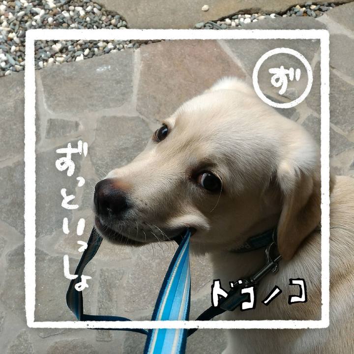 5ea512c5 8e62 4de4 bc1a 0825e5491c28 1685949050464