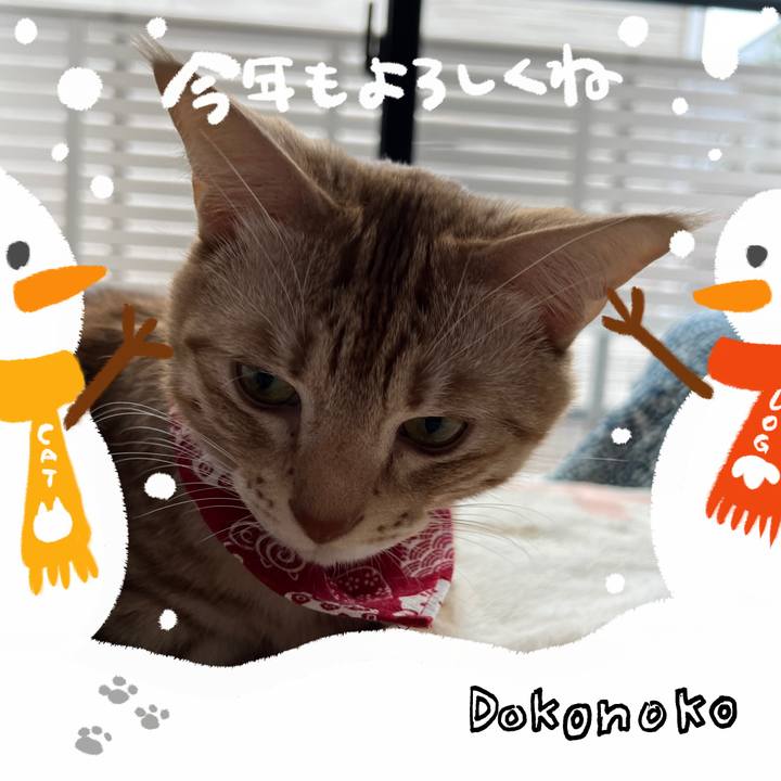 5ea5165c 9c32 4f33 ae63 c69d872bf8c4 1704161097301