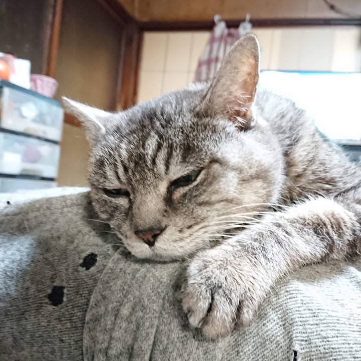 5ea51e99 50ac 4f9c abcb b881201f5d91 1607026638258