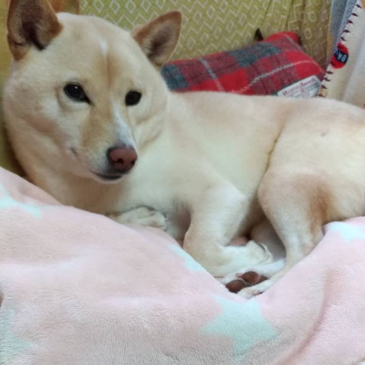 5ea54303 ec14 4865 894c 5d4aa32a11a0 1577320518918