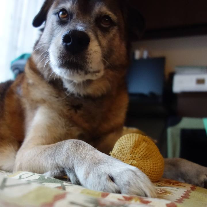 5ea5841c 2c46 4915 89de 6f8fa47533a0 1546737750370