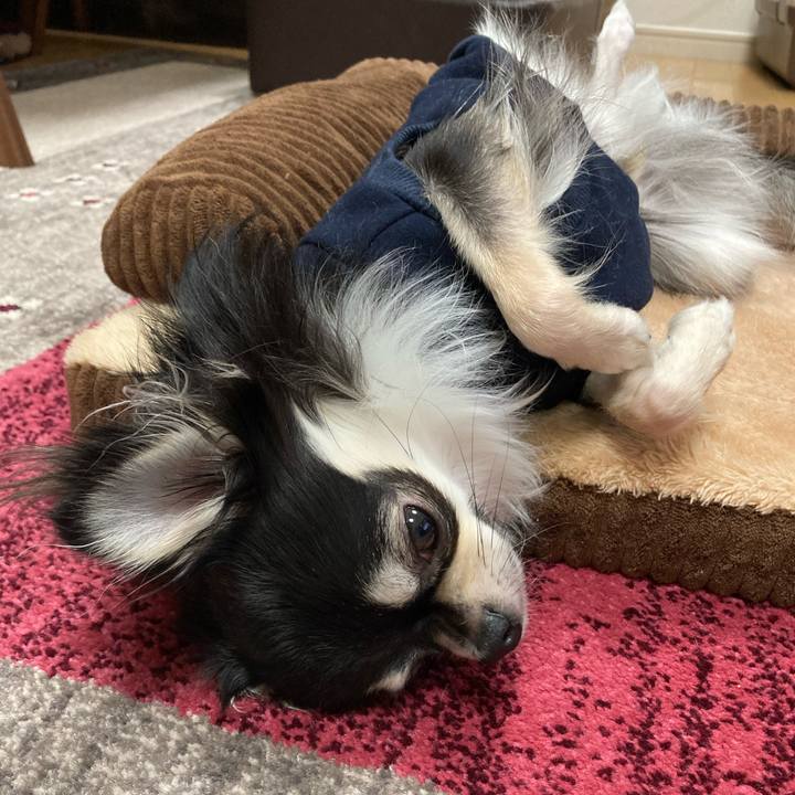 5ea592fa afda 499f a551 561083014e90 1609078186795