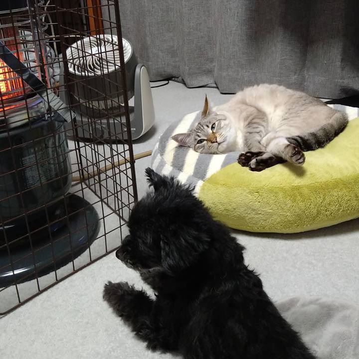 5ea5996e 6583 4569 b050 2fb13874e98d 1641384314234