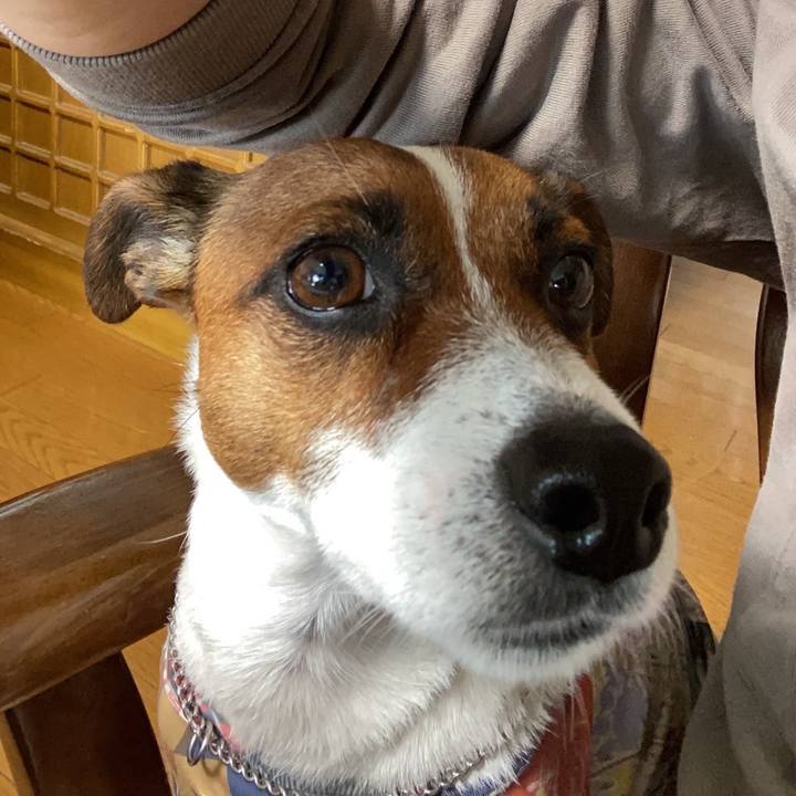 5ea5b7ba ed8f 45ce 9063 efa8a19f869a 1652399256506