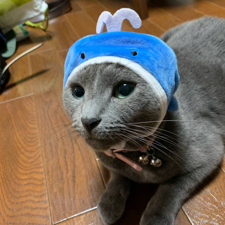 5ea5b8ee 6c7e 453a bb30 b6db0f99ad55 1568727773775