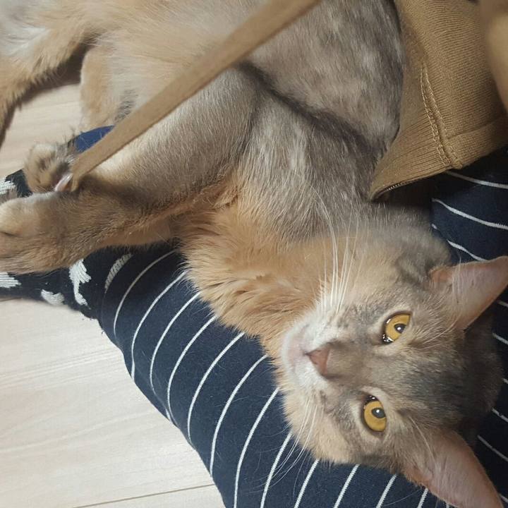 5ea5ca72 dab8 4e30 bac6 6e05ba773971 1542882940980