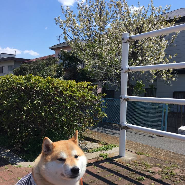 5ea601d2 613c 44fc a98c a174da9c6903 1554260538214